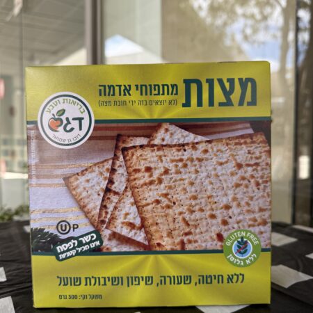 מצות תפוח אדמה | דגש