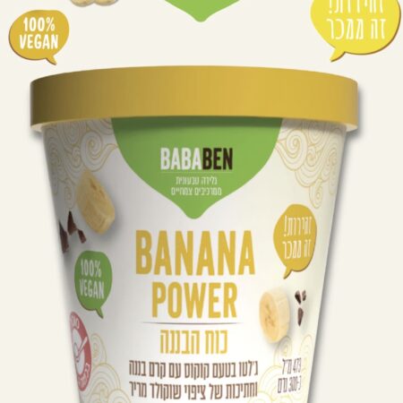 גלידה טבעונית גלטו קוקוס קרם בננה וחתיכות שוקולד | BABABEN