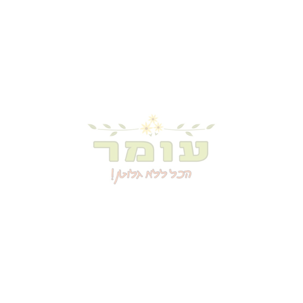 ממלא מקום