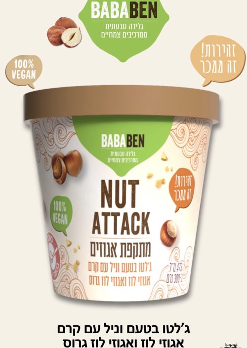 גלידה טבעונית ג׳לטו וניל קרם אגוזי לוז ואגוז לוז גרוס | BABABEN