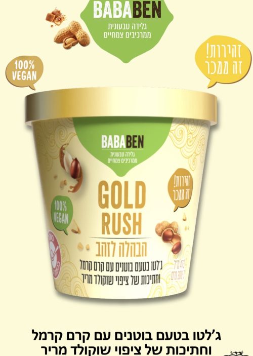 גלידה טבעונית בוטנים קרם קרמל וחתיכות שוקולד מריר | BABABEN